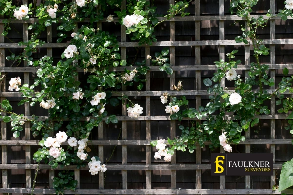 Can I put trellis on my Neighbours garage wall? 2 Do you want to adapt your neighbours garage door and add a trellis Royal-Tunbridge-Wells? Talk to Faulkner Surveyor Royal-Tunbridge-Wells